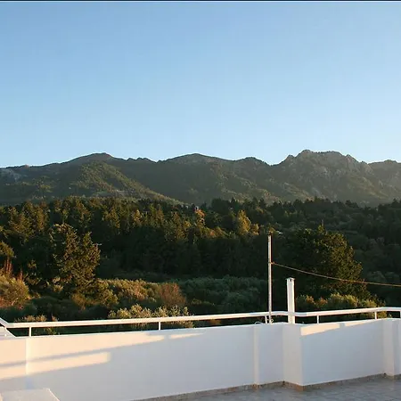 The Olive Branch Vila *